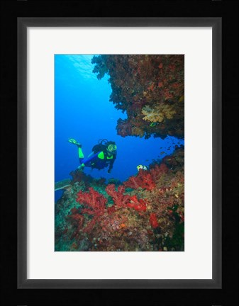 Framed Diver, Coral-lined Arc, Beqa Island, Fiji Print