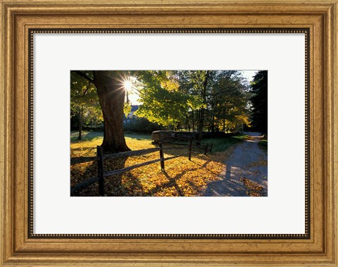Framed Yard of the Main House on Henderson Property in Litchfield Hills, New Milford, Connecticut Print