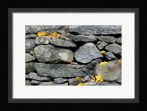 Framed Yard of the Main House on Henderson property, Litchfield Hills, New Milford, Connecticut Print