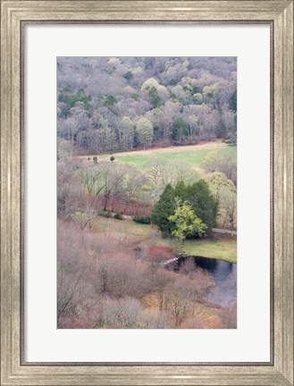 Framed Spring Forest in East Haddam, Connecticut Print