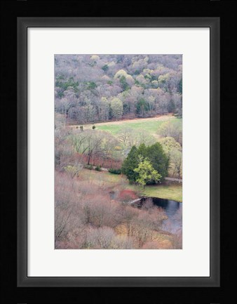 Framed Spring Forest in East Haddam, Connecticut Print