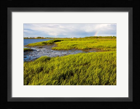 Framed Salt Marsh side of Long Beach,  Stratford, Connecticut Print