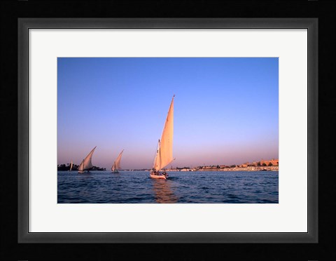 Framed Beautiful Sailboats Riding Along the Nile River, Cairo, Egypt Print
