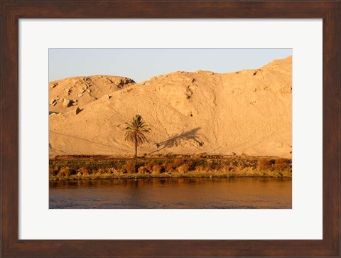 Framed Palm Tree on the Bank of the Nile River, Egypt Print