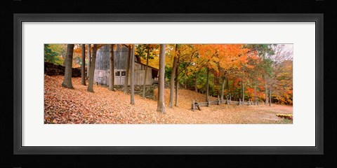 Framed Trees On A Hill, Connecticut Print