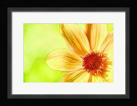 Framed Daisy Glow Print