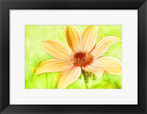 Framed Daisy Sunshine Print