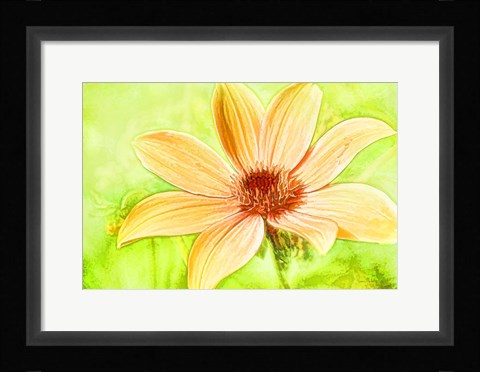 Framed Daisy Sunshine Print