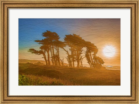 Framed Beach Trees Print