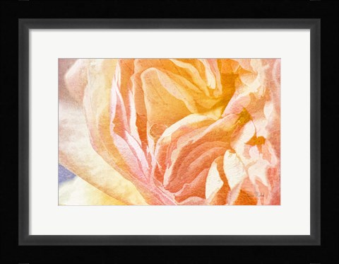 Framed Dew Drop In Print