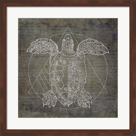 Framed Turtle Geometric Silver Print