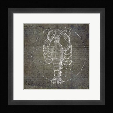 Framed Lobster Geometric Silver Print