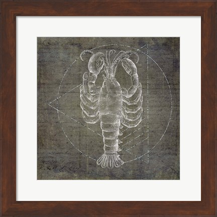 Framed Lobster Geometric Silver Print
