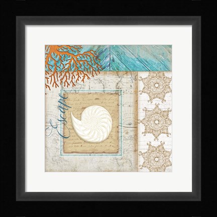 Framed Coastal Nautilus Shell Print