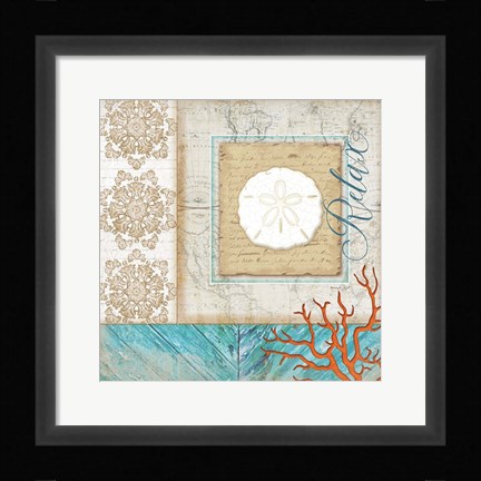 Framed Coastal Sand Dollar Print