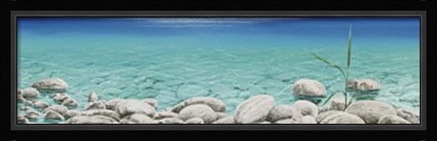 Framed Trasparenza Print