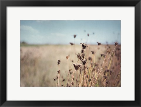 Framed Falling Queen Annes Lace I Crop Print