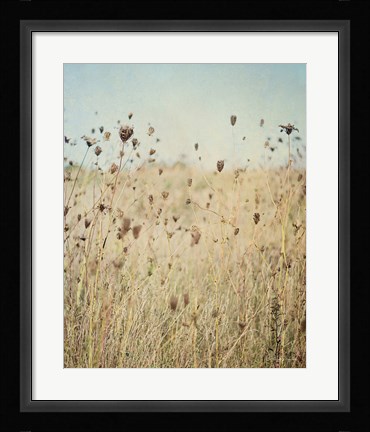 Framed Falling Queen Annes Lace II Crop Print