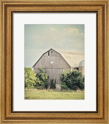 Framed Late Summer Barn II Crop Print