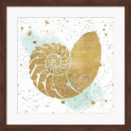 Framed Silver Sea Life Aqua Shell Print
