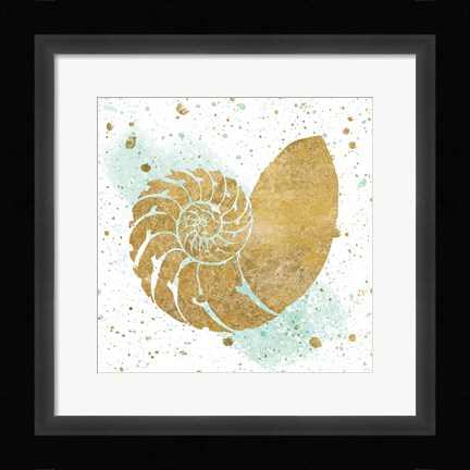 Framed Silver Sea Life Aqua Shell Print
