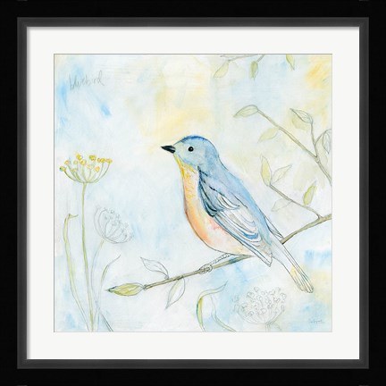 Framed Sketched Songbird II Print