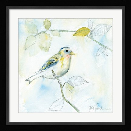 Framed Sketched Songbird I Print
