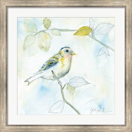 Framed Sketched Songbird I Print