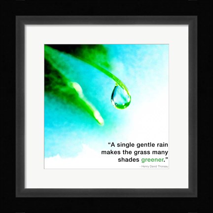 Framed Single Gentle Rain - Henry Thoreau Quote (Droplet) Print