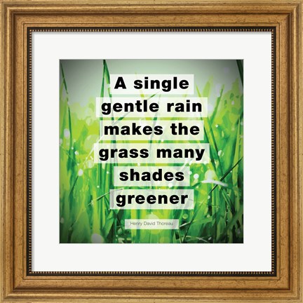 Framed Single Gentle Rain - Henry Thoreau Quote (Vibrant) Print