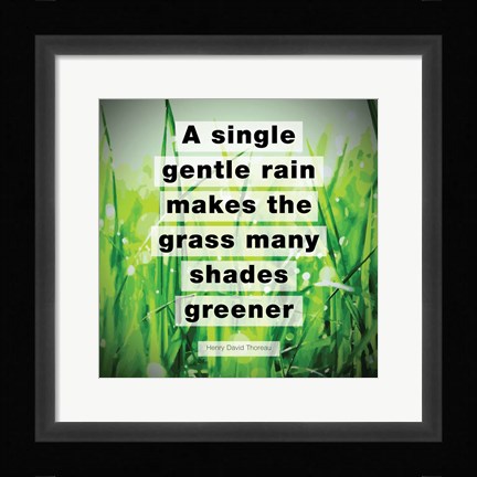Framed Single Gentle Rain - Henry Thoreau Quote (Vibrant) Print
