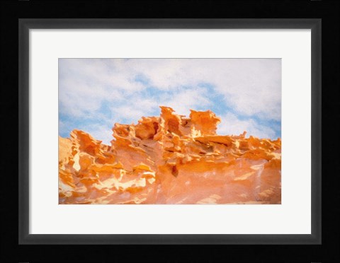 Framed Fins III Print