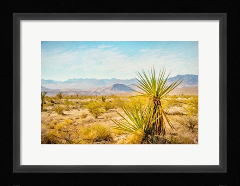 Framed Utah Desert Yucca Print