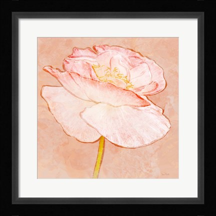 Framed Sweet Peach Poppy I Print