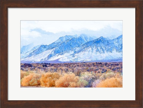 Framed High Desert Vista II Print