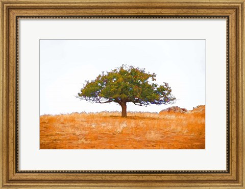 Framed Lone Tree Print