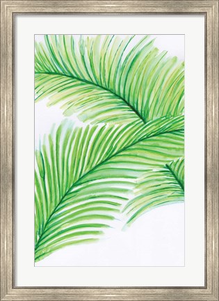 Framed Palm Leaves Print