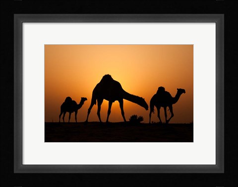 Framed Desert Ship Print