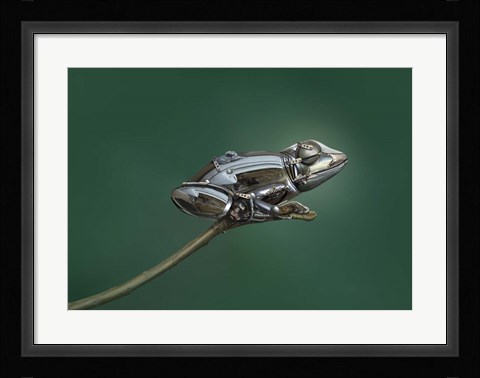 Framed Frog Print