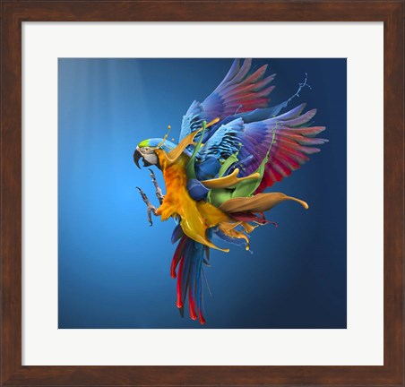 Framed Flying Colours Print