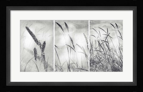 Framed Wilderness Print