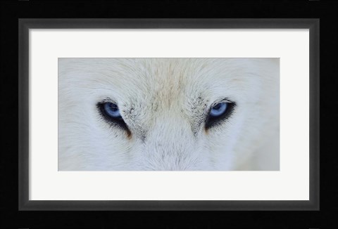 Framed Mirada Azul Print