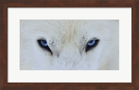 Framed Mirada Azul Print