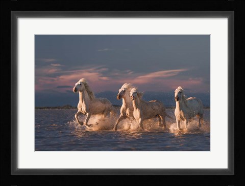Framed Angels Of Camargue 1 Print