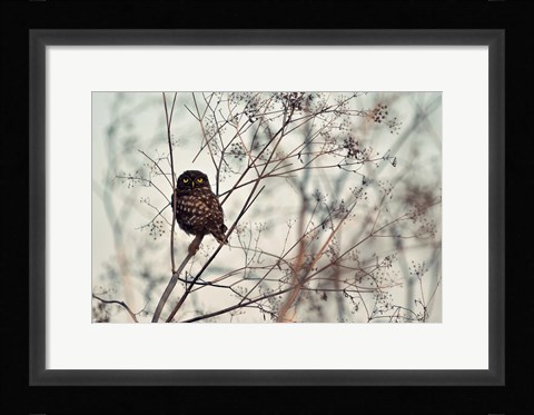 Framed Look At Me! Print