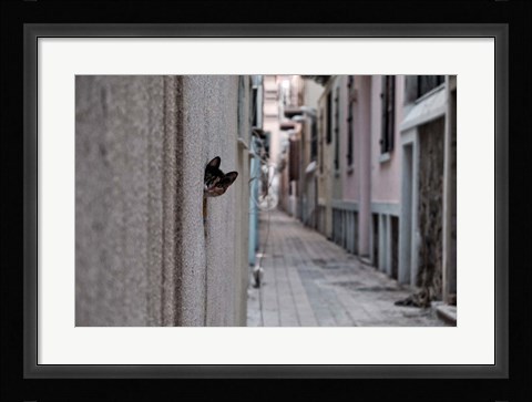 Framed Dantel Street Cat Print