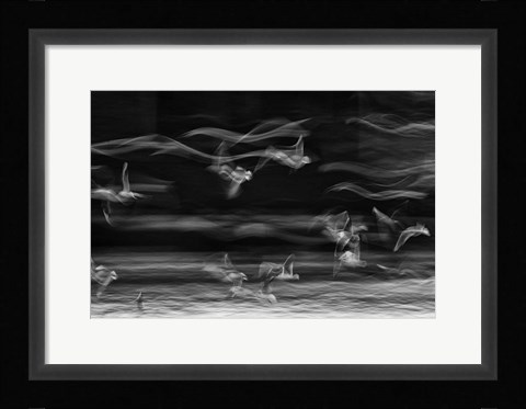 Framed Boundary Between Reality And Fantasy Print