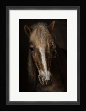 Framed Sapience Print