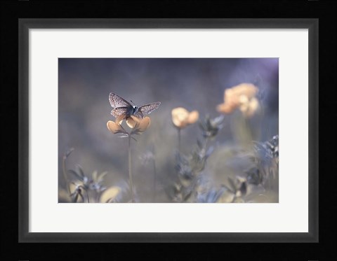 Framed Lady Of Lothlorien Print