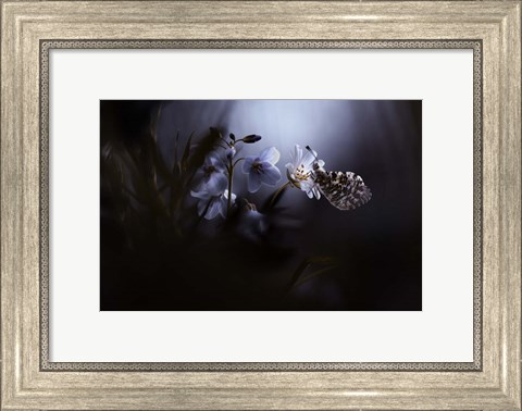 Framed In Your Dreams, Everything Is Alright Print